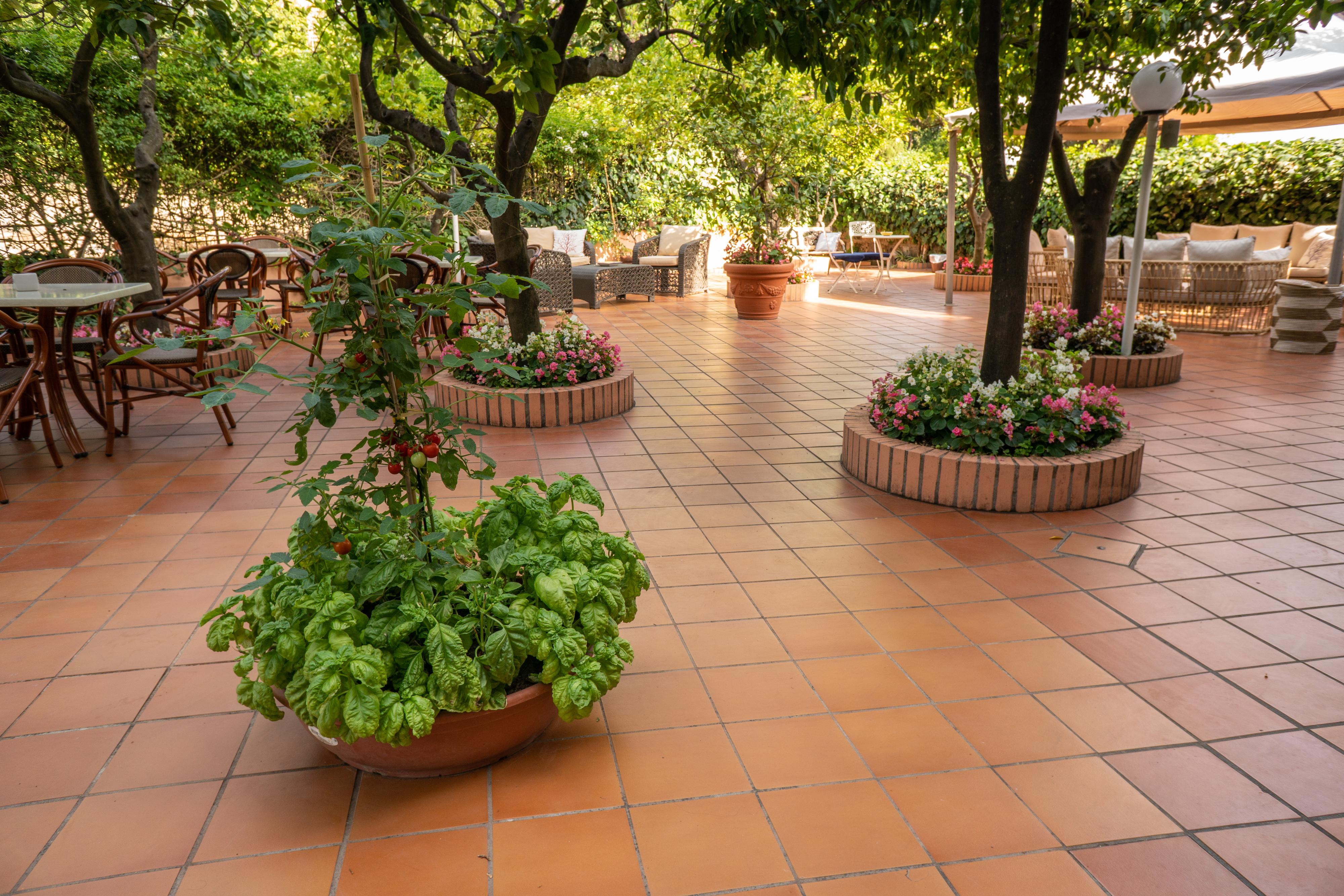 Boutique Hotel Regina Sorrento Dış mekan fotoğraf